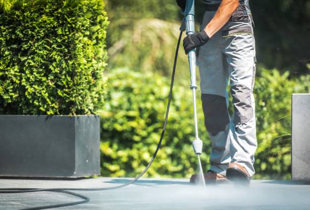 Best Soft Washing  in Chualar, CA